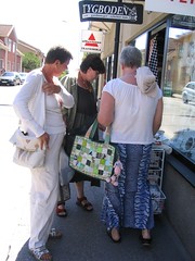 The fabric shopping ladies