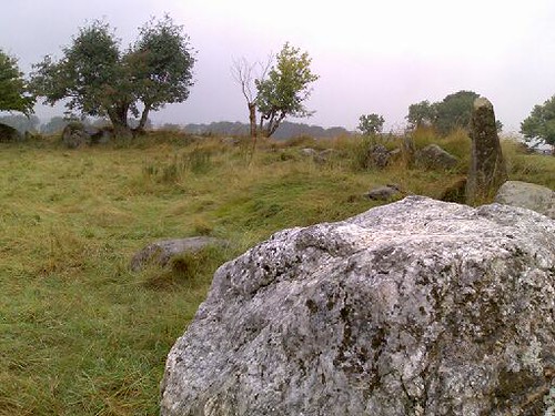 Castleruddery Stone Circle & Henge