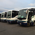 Group of Tour Buses