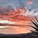 Ibiza - Another #Ibiza #winter #sunset