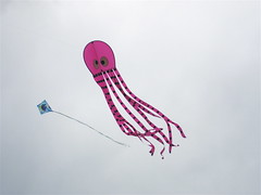a righteous octopus kite