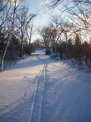 Breaking Trail at Hyland