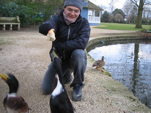 feeding ducks (2)