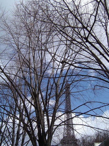 Eiffel Tower by day, through trees