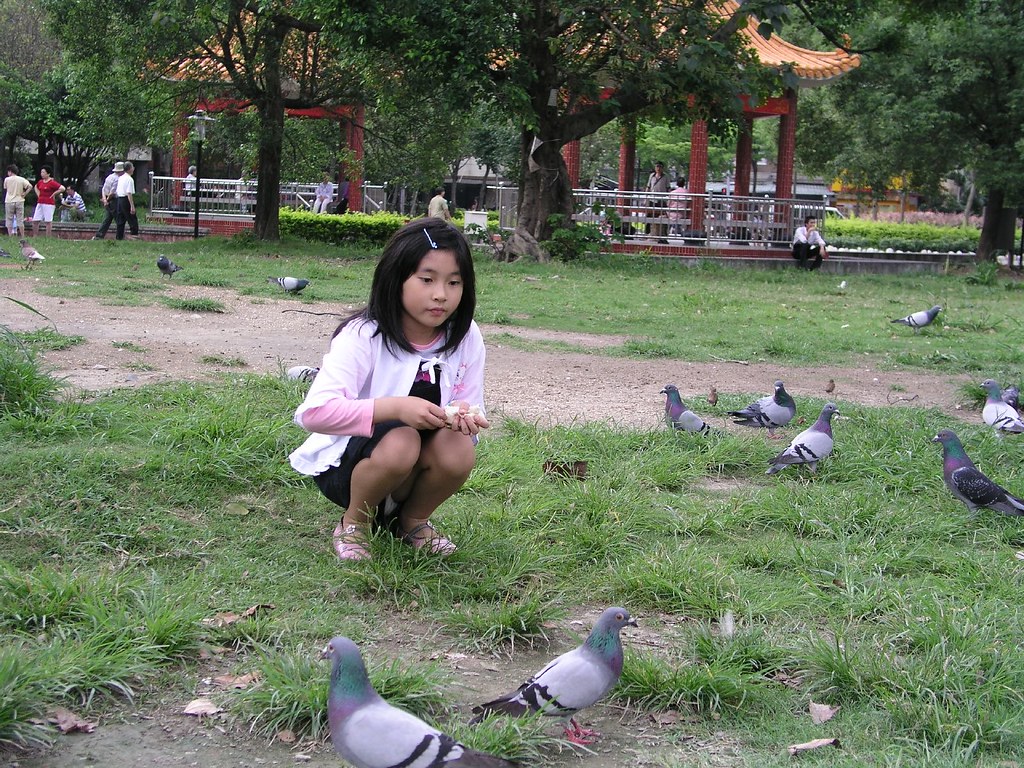中和四號公園—Annie 正在餵鴿子