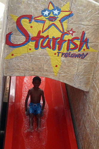 Starfish Water Slide