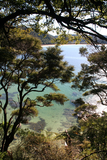 plage-2-Abel-Tasman
