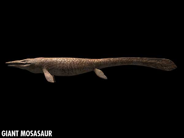 giant mosasaur