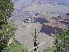 Mather Point Hiking View I