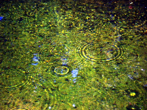 gotas de agua en el estangue