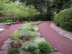 A rock garden