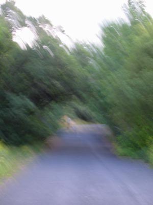 city creek runner