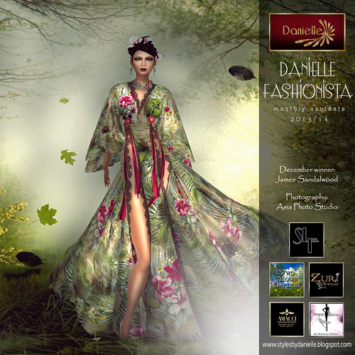 Danielle Fashionista 2013/14 Dec winner Jamee Sandalwood