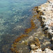 Ibiza - life sea summer vacation sun plant beach nature water stone island coast spring ibiza