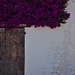 Ibiza - Dalt Vila Doorway