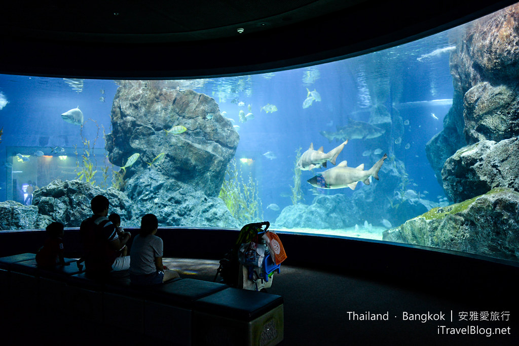 Siam Ocean World Bangkok 51
