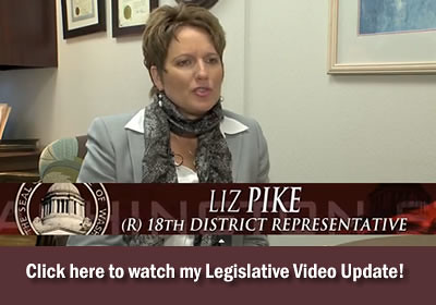Rep. Liz Pike video update