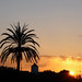 Ibiza - sunset contraluz atardecer tramonto ibiza siluetas vision:mountain=062 vision:sunset=0895 vision:clouds=0916 vision:sky=099 vision:outdoor=098