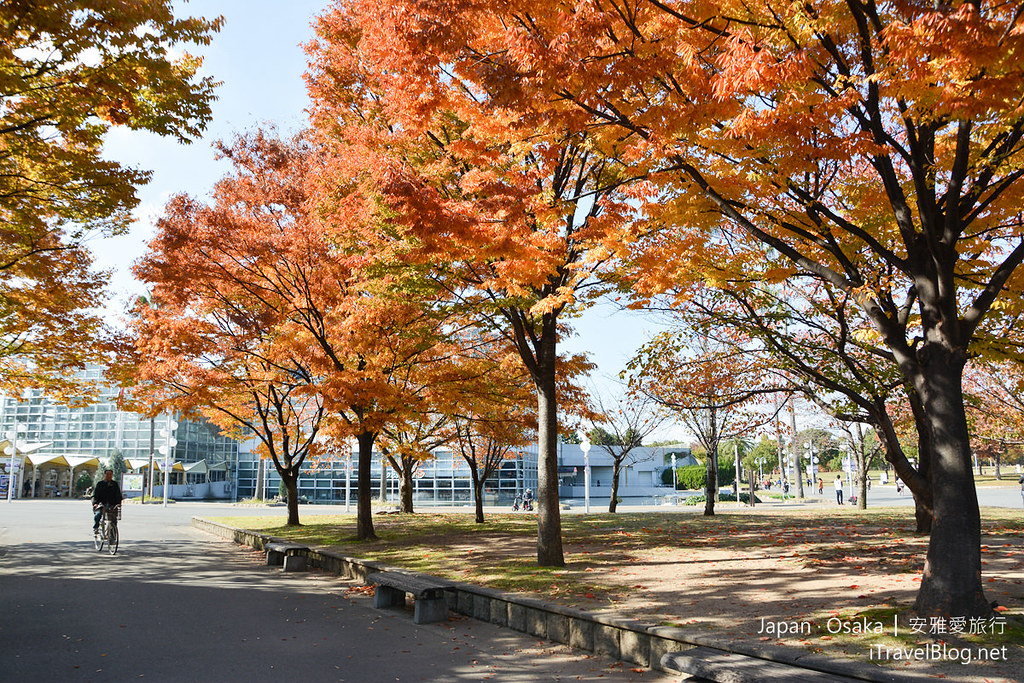 日本 大阪 花博纪念公园