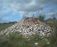 Texas sized ant hill!
