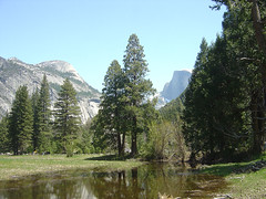 Yosemite - Marsh