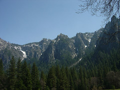 Forest Mountains at Yosemite