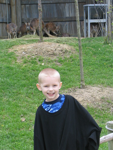 colton and the kangaroos