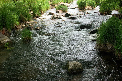 pipestone creek