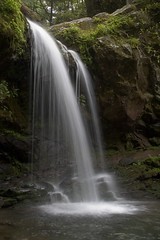 Cove Waterfall