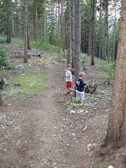 boys in forest