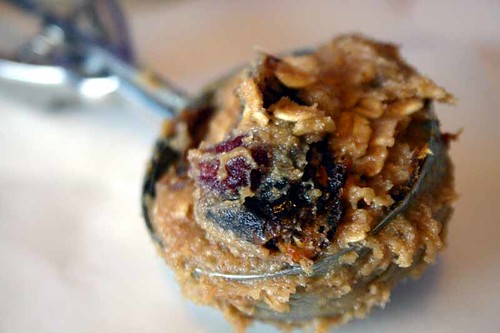 Honey Date and Cranberry Oatmeal Cookie Dough
