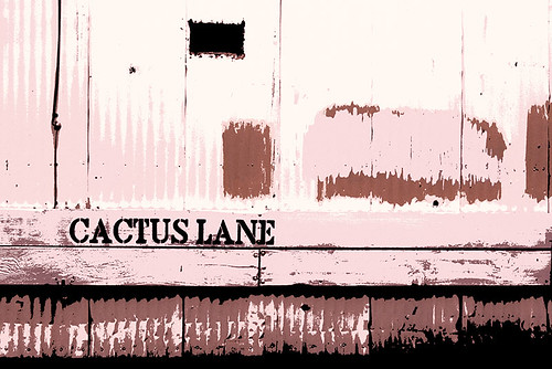 Cactus Lane