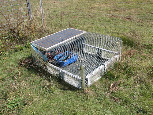 Cane Toad trap,Knuckey's Lagoon