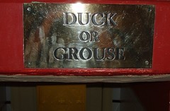 Duck or Grouse