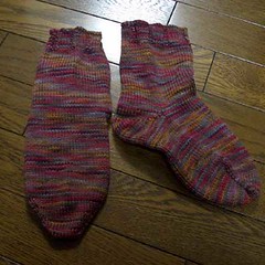 KIWI Socks