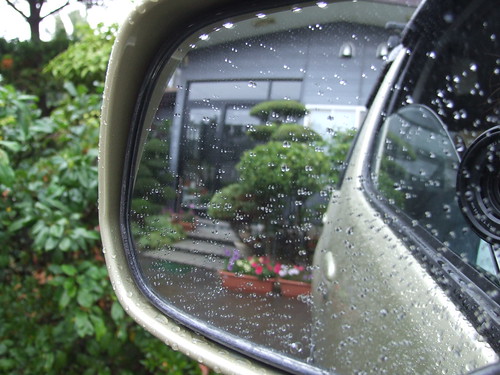 rainy days.............