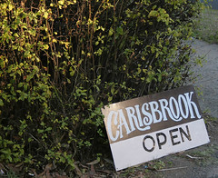 Carisbrook Open