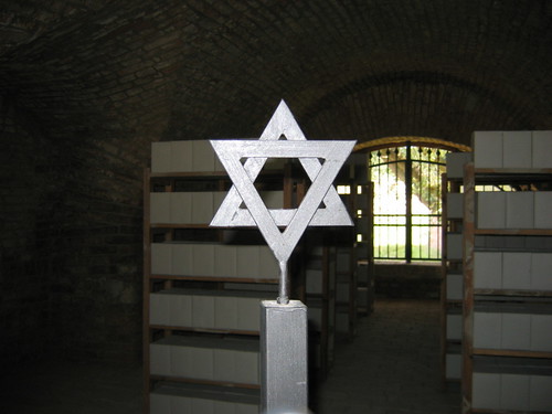 Theresienstadt Star of David