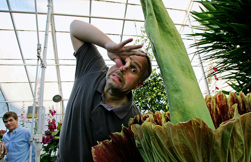 Me and a corpse flower