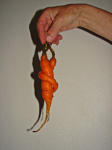 Strange carrot 2