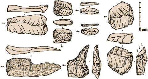 Homo floresiensis tools