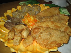 Mongolian plate