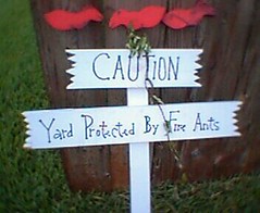 CAUTION: yard protected by fire ants.