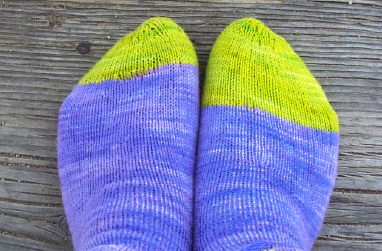 Purple Yellow Socks
