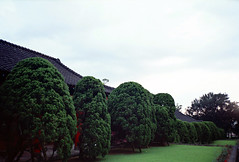 Tamkang University