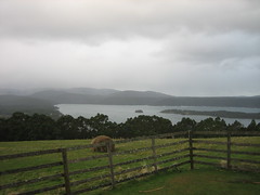 Palmers Lookout
