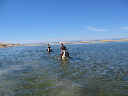 swimming with horse