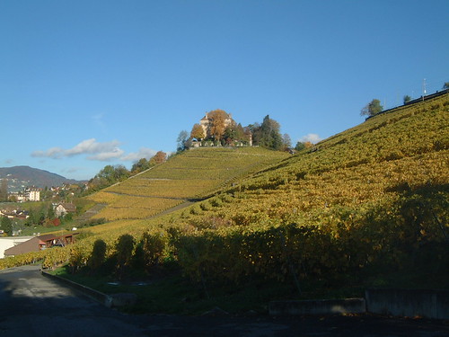 Montreux Vineyards