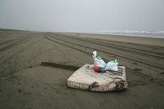 Sunset Beach, Oregon, during Spring Beach Cleanup