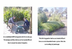 photos of septic system garden beds